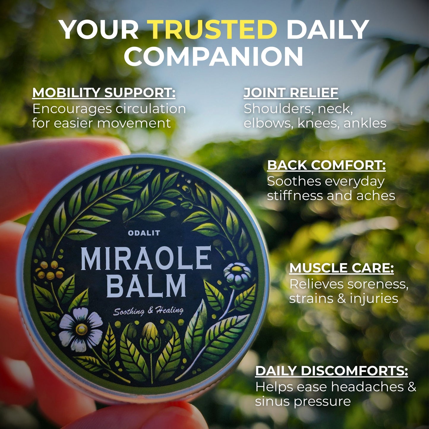 ODALIT Miraole Balm™ Herbal Powerhouse