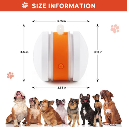 🐶The YOBENSUN™ – Keep Your Pet Relaxed, Happy & Content for Cat🐱 & Dog🐶